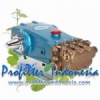 Cat Pump 2537 profilterindonesia pix  medium