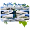 Chisso Filter Cartridge profilterindonesia new  medium