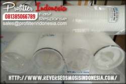High Flow Pleated Cartridge Filter Indonesia  large