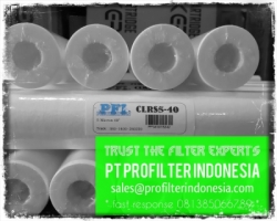 PFI CLRS Cartridge Filter Indonesia  large