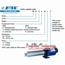 d Flint  Walling RO Booster Pump pro  large