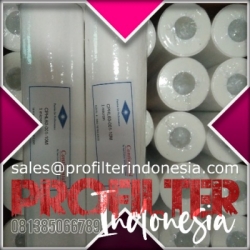 d continental cphl cartridge filter indonesia  large